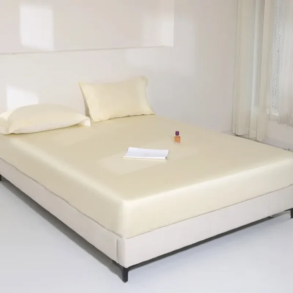 100% cotton 5A antibacterial 100 count long-staple cotton series （Fitted Sheet） (1)