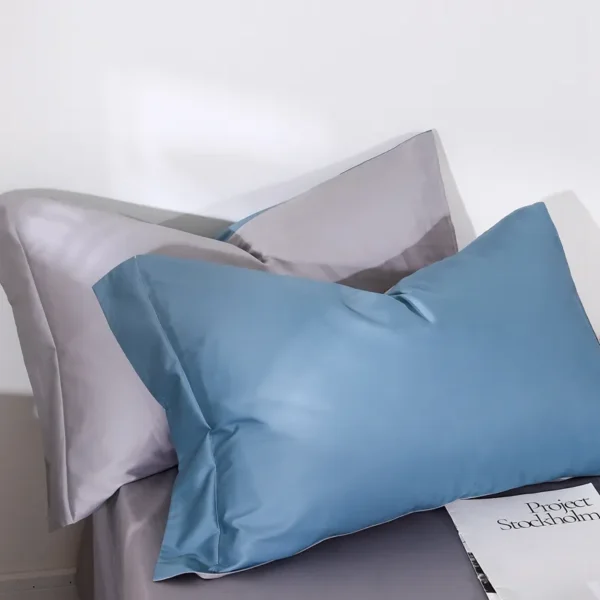 100% cotton 5A antibacterial 100 count long-staple cotton series（Pillowcase） (12)