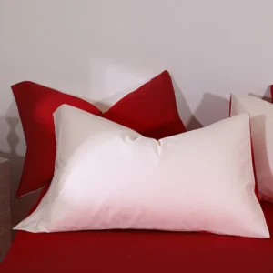 100% cotton 5A antibacterial 100 count long-staple cotton series（Pillowcase） (3)