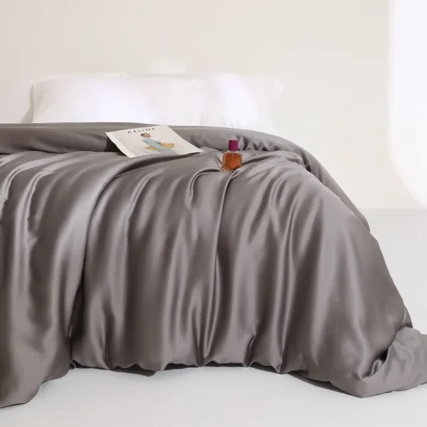 Sheet style 100% Lyocell fiber 61s Austrian Lenzing Tencel series (quilt cover) (2)