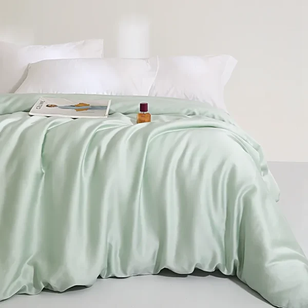 Sheet style 100% Lyocell fiber 61s Austrian Lenzing Tencel series (quilt cover) (6)