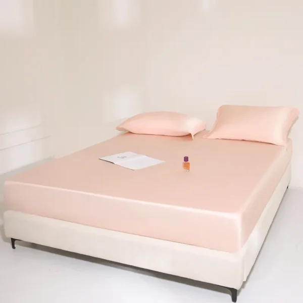 Sheet style 100% Lyocell fiber 62s Austrian Lenzing Tencel series (Fitted Sheet) (2)