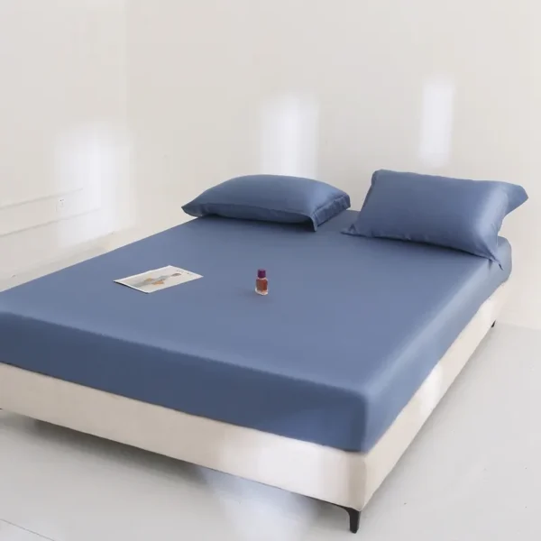 Sheet style 100% Lyocell fiber 62s Austrian Lenzing Tencel series (Fitted Sheet) (7)