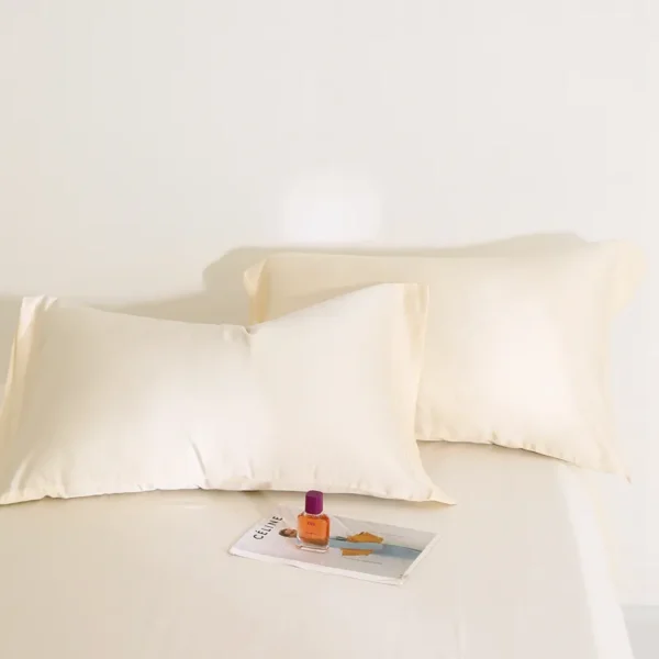 Sheet style 100% Lyocell fiber 63s Austrian Lenzing Tencel series (Pillowcase) (1)