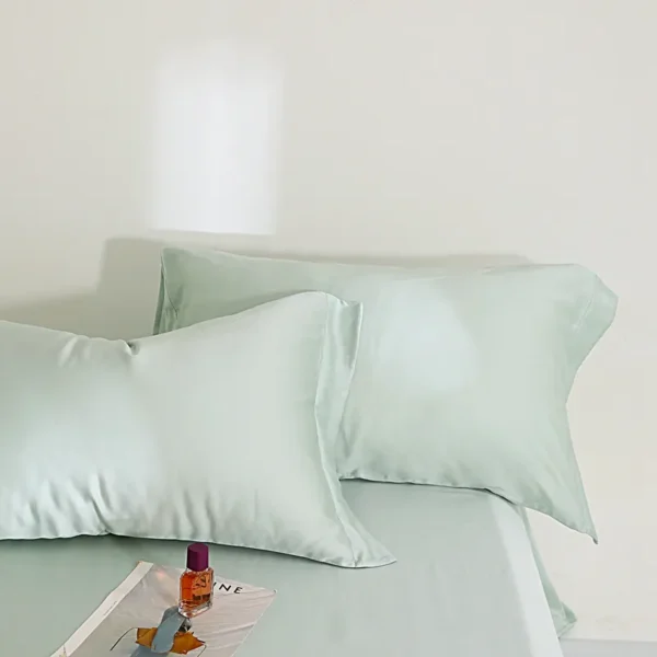 Sheet style 100% Lyocell fiber 63s Austrian Lenzing Tencel series (Pillowcase) (11)