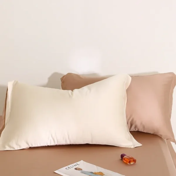 Sheet style 100% Lyocell fiber 63s Austrian Lenzing Tencel series (Pillowcase) (12)